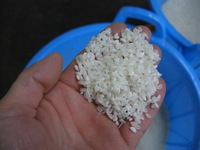 純粋米酢『心の酢』戸塚醸造店 洗米
